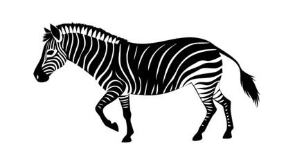 Fototapeta premium Black and white zebra vector illustration walking animal wildlife safari africa zoo mammal equine design art