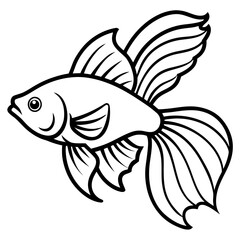 Colorful Betta Silhouette Illustration