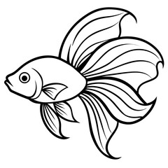 Colorful Betta Silhouette Illustration