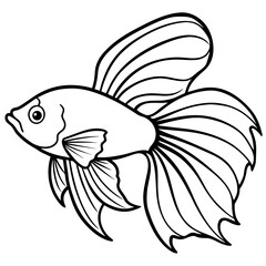 Colorful Betta Silhouette Illustration