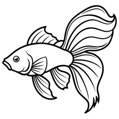 Colorful Betta Silhouette Illustration