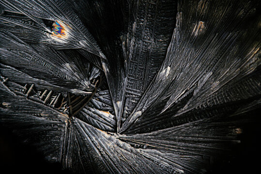 Microcrystals of wine acid under magnification showing intricate patterns