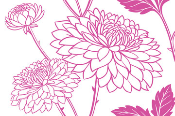 Elegant line art illustration of dahlia flowers and buds on white background
