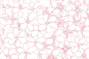 Delicate hand drawn pink floral pattern with many blooming flowers