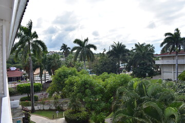 tropical resort hotel