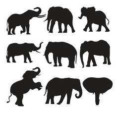 Elephant Silhouette Collection – Vector Wildlife Animal Clipart Set