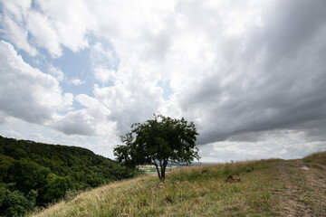 A peaceful rural scene showing a hillside path under a cloudy sky, with open views across the...