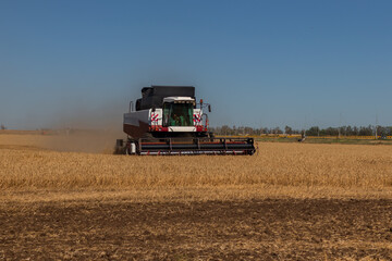 Fototapeta premium Agricultural machinery works in the field in summer