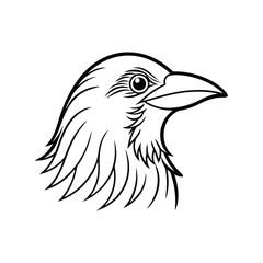 Obraz premium a babbler bird head line art silhouette vector illustration on white background