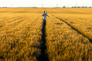Rear view of confident farmer walking in wheat field at sunset.
