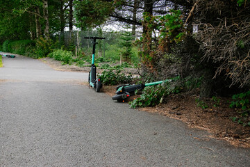 Electric scooters parked near a pathway surrounded by nature in Reykjavik, Iceland