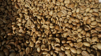 Raw Arabica Coffee Beans
