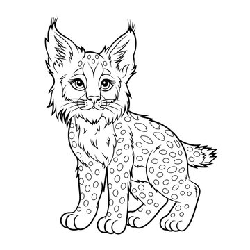 Doodle Vector Illustration of a Lynx in Cartoon Style. Isolated on white background. Perfect for animal-themed design projects, stickers and coloring book.