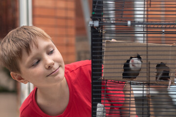 A boy playing with his pet rat outside