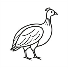 Simple outline drawing of a guinea fowl bird isolated on white background