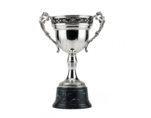 Black and silver trophy cup on a white background, png, transparent