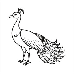 Stylized line art peacock standing profile isolated on white background