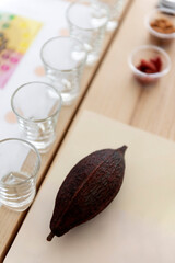 Cacao fruit on education workshop setting table