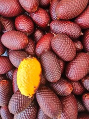 aguaje, a fruit of the jungle