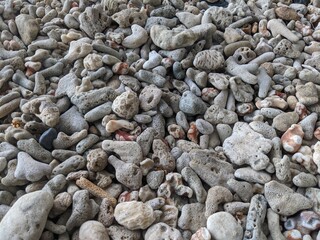 White coral on the tropical beach of Lemukutan Island, West Kalimantan
