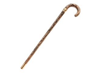 Transparent Wooden Cane