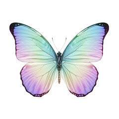 Obraz premium Beautiful iridescent butterfly with pastel blue green and purple wings isolated on white