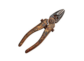 Vintage Rusted Pliers