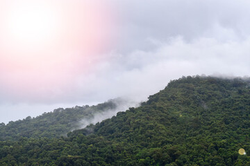 Clouds and mist roll gently over lush green mountains under a cloudy sky, creating a peaceful, moody atmosphere. The natural scenery highlights untouched forest and cool, humid weather.