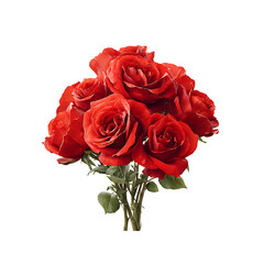 bouquet of red roses isolated on white transparent background