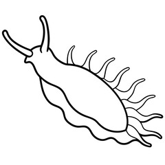 Minimal Sea Slug Vector