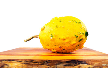 Decorative warty yellow gourd