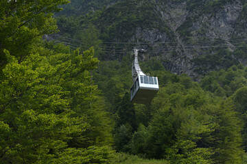 A cable car ascends through lush green mountains, offering a scenic journey amidst verdant trees and a rugged landscape.