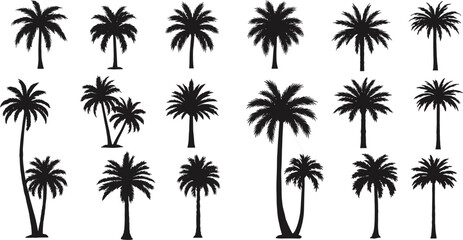 Silhouette collection of tropical palm trees, various coconut tree designs, black palm tree icons isolated on white background, perfect for summer, beach, travel, and tropical themes