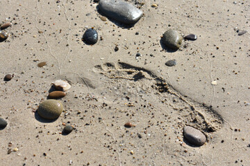 Imprint of human bare foot on the fine sand, on the beach smoothed by low tide. Footprint of human foot. Concept for travel and vacation. Beach near Cefalu, in Sicily, Italy. Travel to Italy. Relax.