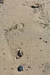 Imprints of human bare feet on the fine sand, on the beach smoothed by low tide. Footprints of human feet. Concept for travel and vacation. Beach near Cefalu, in Sicily, Italy. Travel to Italy. Relax.