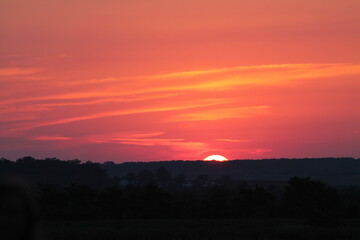Sunrise over peaceful field