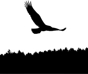 Obraz premium Eagle in Flight Silhouette Vector for Patriotic and Nature Designs