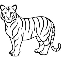 Minimalist Full Body White Tiger Vector Illustration