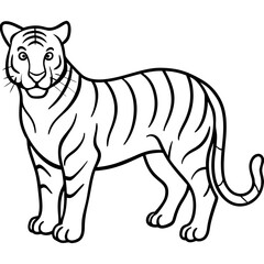 Minimalist Full Body White Tiger Vector Illustration