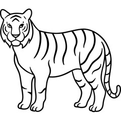 Minimalist Full Body White Tiger Vector Illustration