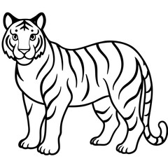Obraz premium Minimalist Full Body White Tiger Vector Illustration