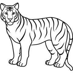 Minimalist Full Body White Tiger Vector Illustration
