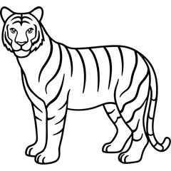 Minimalist Full Body White Tiger Vector Illustration