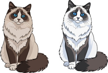 Obraz premium Three cartoon cats in different stages of coloring showing a line drawing and two colored versions