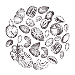 Round composition of macadamia nuts, pecans, walnuts, cashews, almonds, peanuts, hazelnuts. All objects are hand-drawn in vector. For printing on food packaging, paper, fabric. 