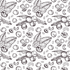 Seamless vector pattern. Walnuts, hazelnuts, macadamias, peanuts, cashews, leaves. All objects are hand-drawn in vector. The illustration is suitable for printing on paper, fabric, food packaging. 