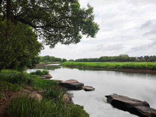 The beautiful sky, water, brown rock and green big tree.