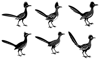 Illustration of six roadrunner birds in various poses in black and white