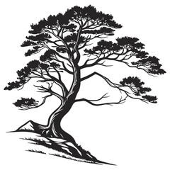 silhouette of a tree