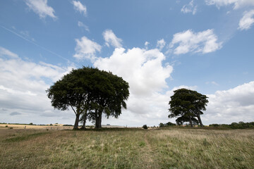 A peaceful rural scene showing a hillside path under a cloudy sky, with open views across the...